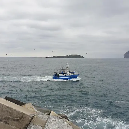 Gure Erremedio * Bermeo