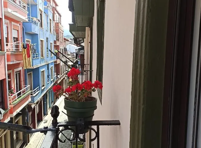 Gure Erremedio Bermeo