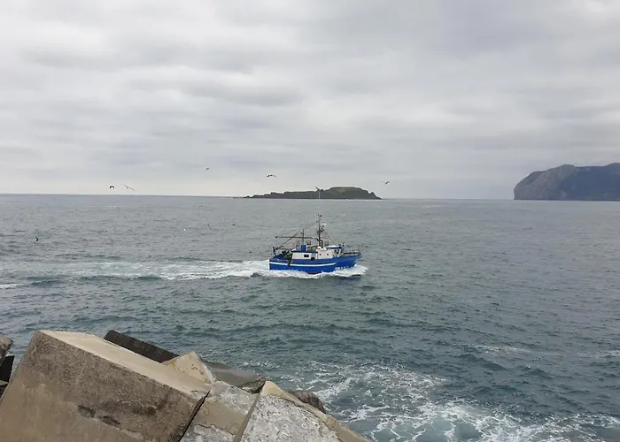 Gure Erremedio * Bermeo